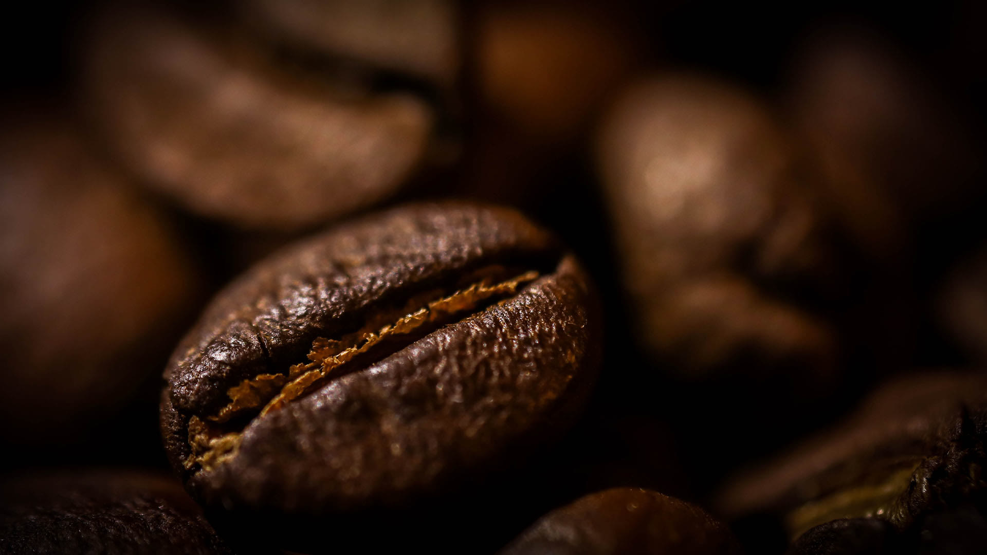Freshly roasted coffee beans